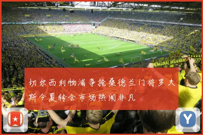 切尔西利物浦争抢桑德兰门将罗夫斯今夏转会市场热闹非凡